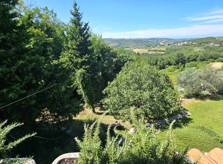 Lokacija: Obalno - kraška, Piran, Sv. Peter