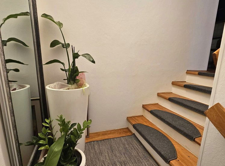 Lokacija: Obalno - kraška, Koper, Koper