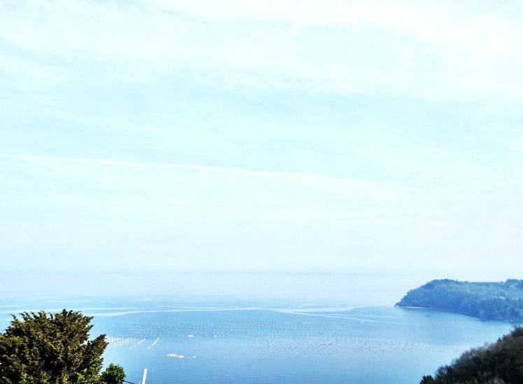 Lokacija: Obalno - kraška, Piran, Pacug