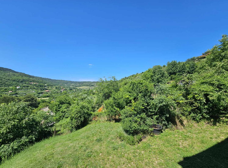Lokacija: Obalno - kraška, Koper