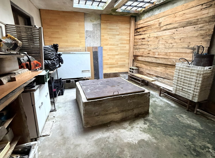 Lokacija: Obalno - kraška, Koper