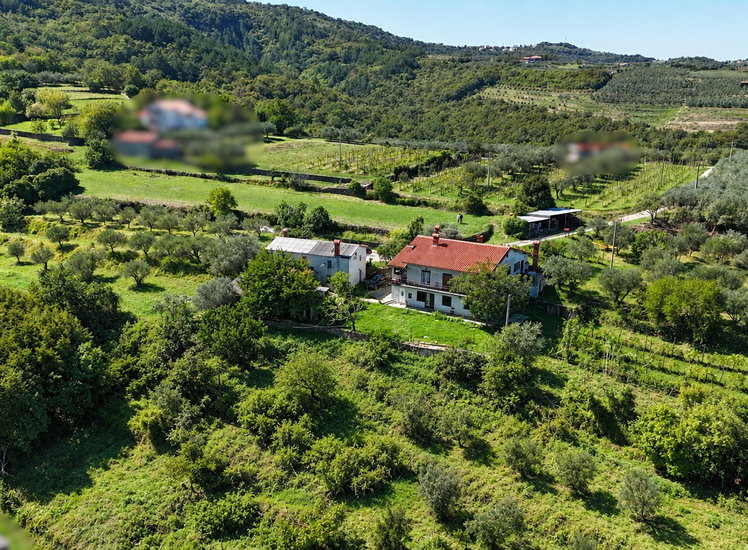 Lokacija: Obalno - kraška, Koper, Kampel