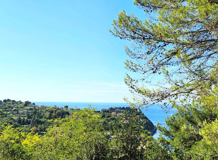 Lokacija: Obalno - kraška, Piran, Pacug