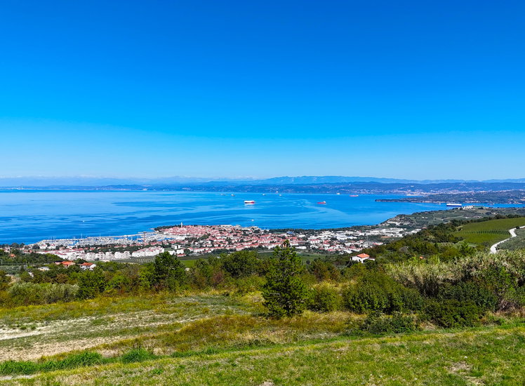 Lokacija: Obalno - kraška, Izola, Šared
