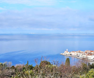 Lokacija: Obalno - kraška, Piran