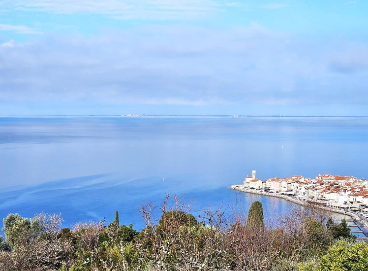 Lokacija: Obalno - kraška, Piran