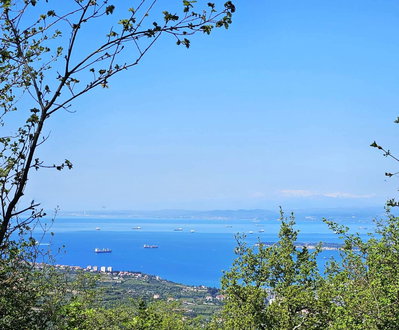 Lokacija: Obalno - kraška, Koper