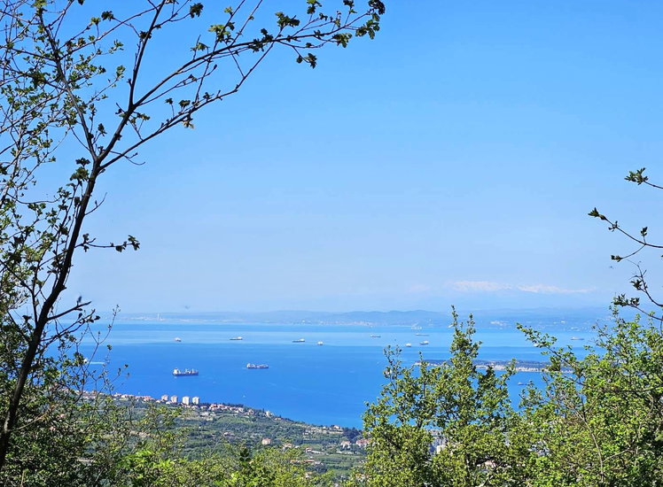 Lokacija: Obalno - kraška, Koper