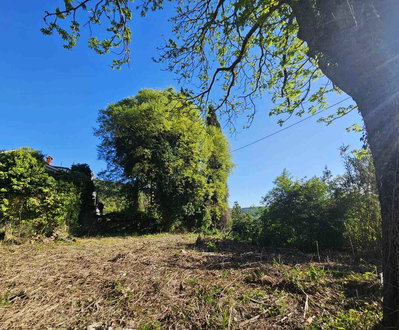 Lokacija: Obalno - kraška, Piran, Sečovlje