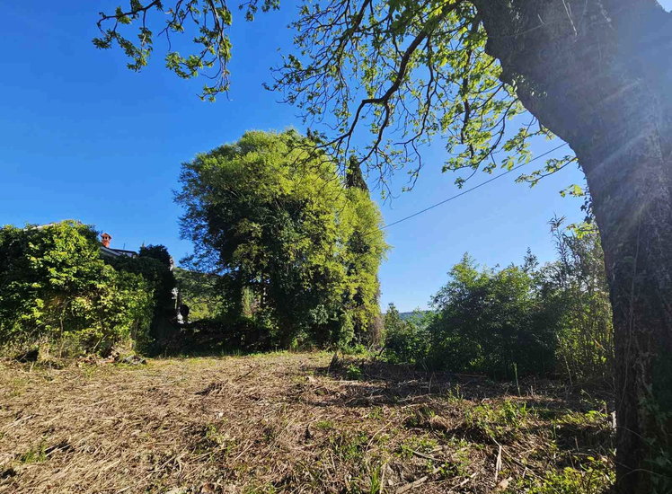 Lokacija: Obalno - kraška, Piran, Sečovlje