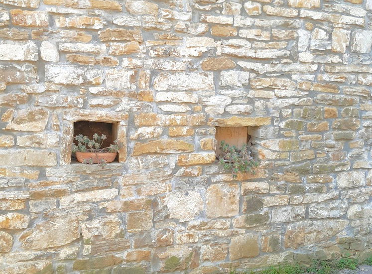 Lokacija: Obalno - kraška, Koper, Stepani