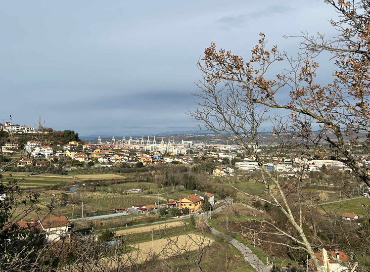 Lokacija: Obalno - kraška, Koper, Bošamarin