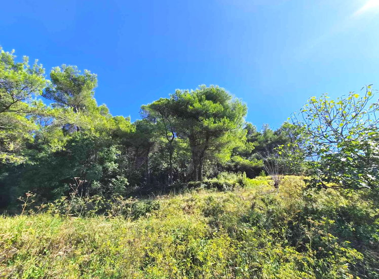 Lokacija: Obalno - kraška, Piran, Pacug