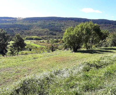 Lokacija: Obalno - kraška, Koper, Movraž