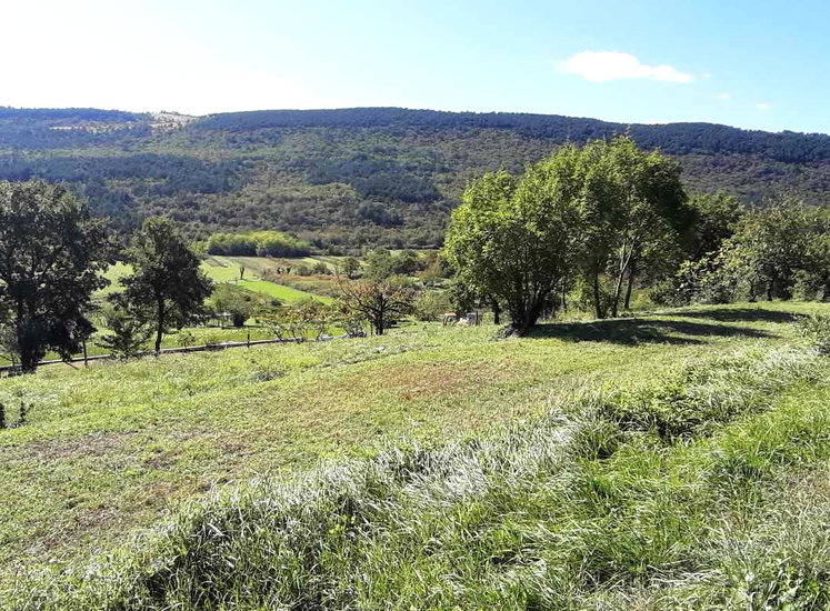 Lokacija: Obalno - kraška, Koper, Movraž