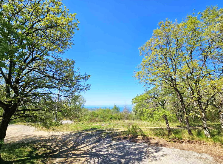 Lokacija: Obalno - kraška, Koper