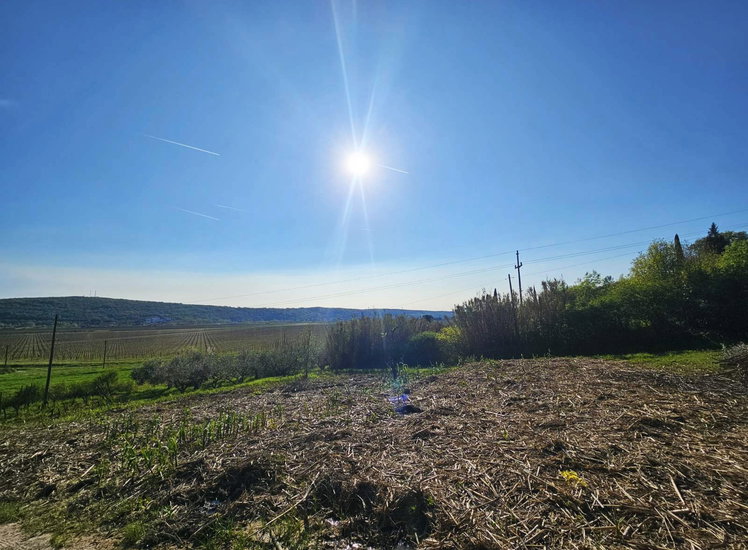 Lokacija: Obalno - kraška, Piran, Sečovlje