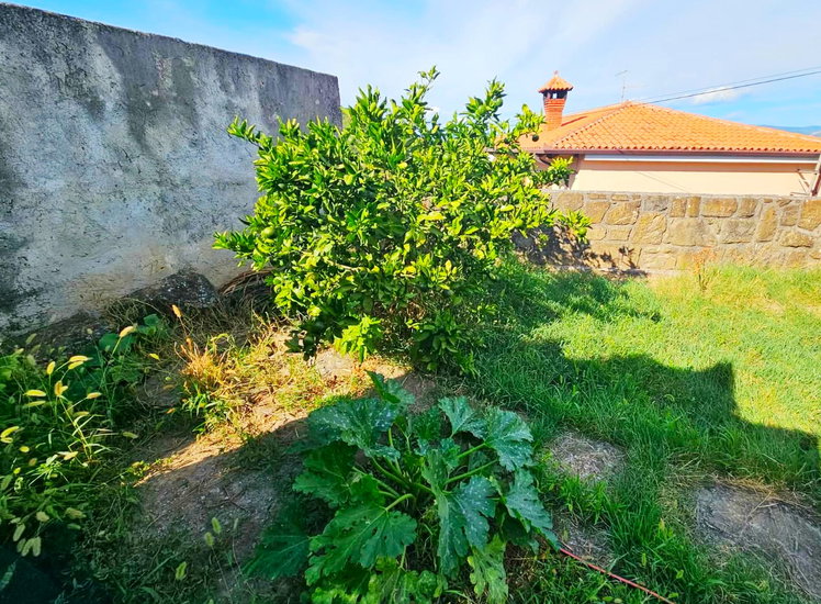 Lokacija: Obalno - kraška, Koper, Spodnje Škofije
