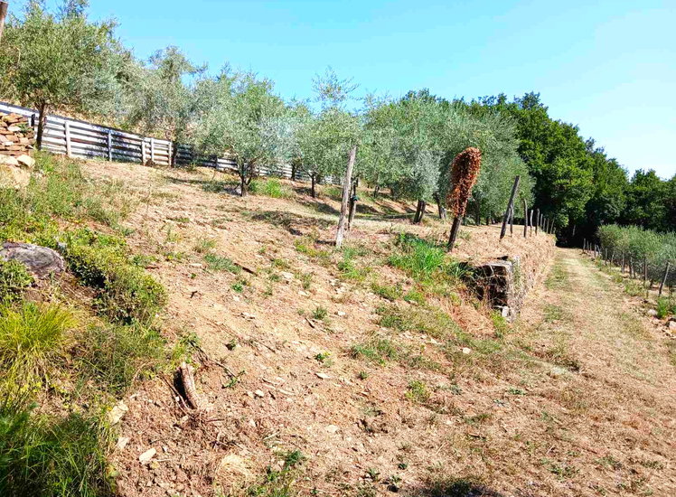 Lokacija: Obalno - kraška, Koper, Vanganel