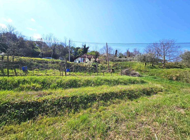 Lokacija: Obalno - kraška, Koper