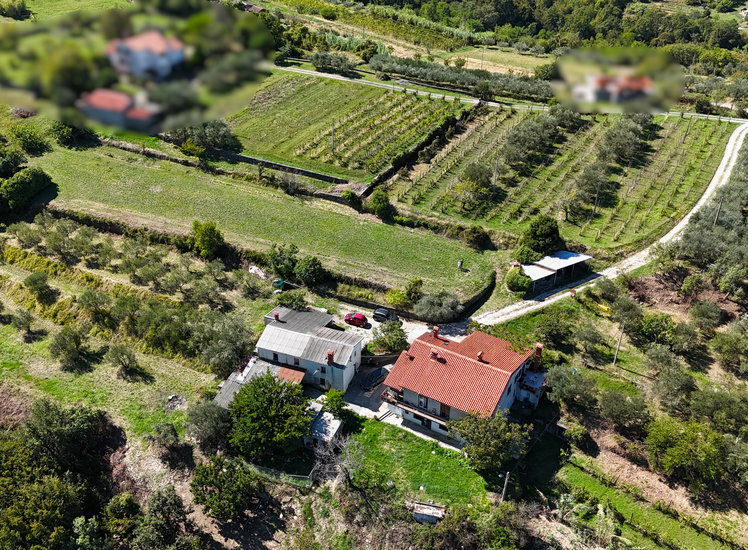 Lokacija: Obalno - kraška, Koper, Kampel