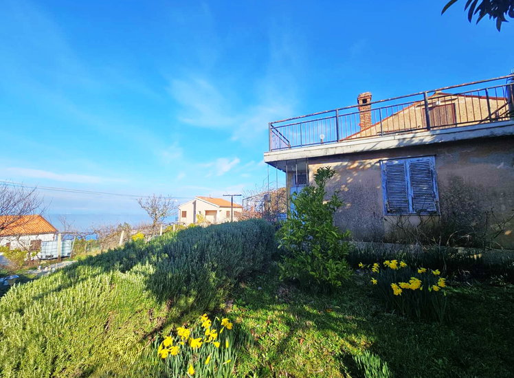 Lokacija: Obalno - kraška, Piran