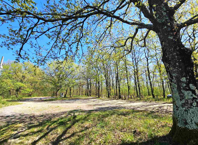 Lokacija: Obalno - kraška, Koper