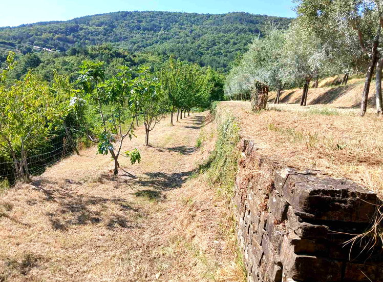 Lokacija: Obalno - kraška, Koper, Vanganel