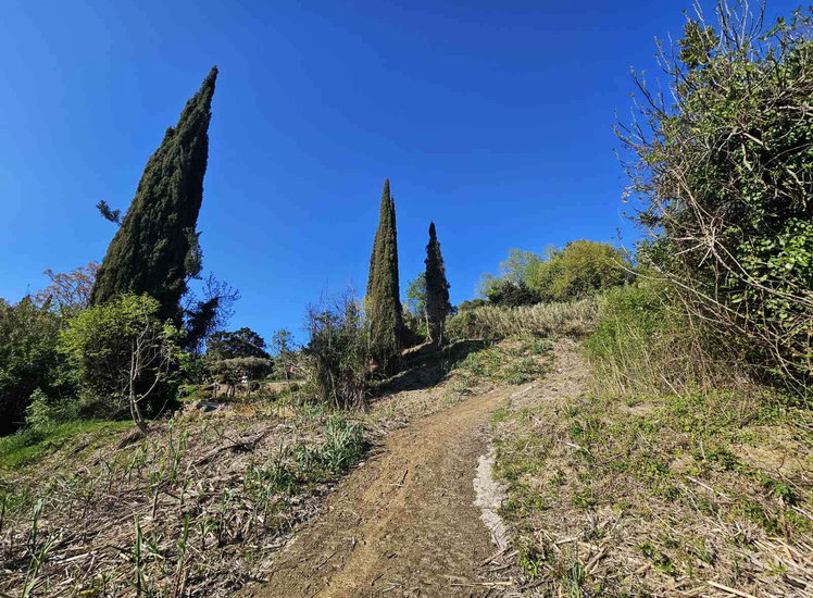 Lokacija: Obalno - kraška, Piran, Sečovlje