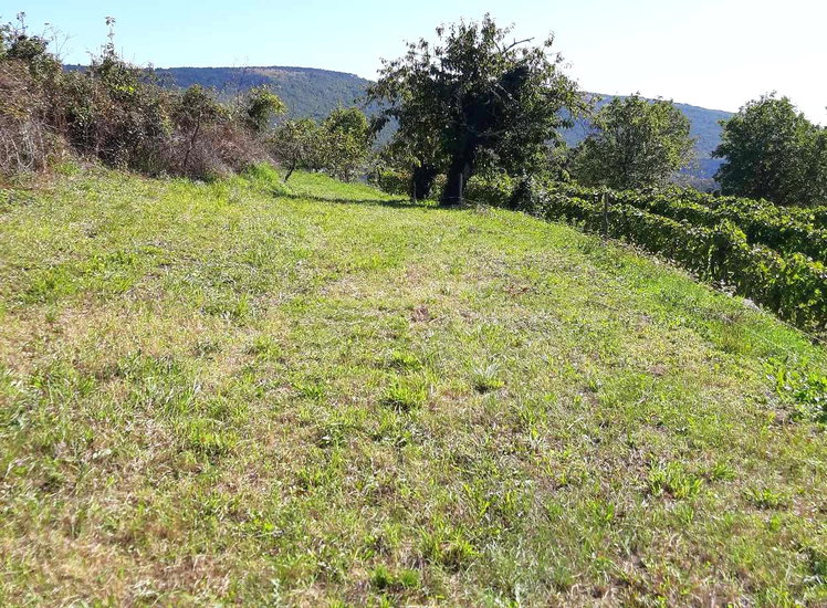 Lokacija: Obalno - kraška, Koper, Movraž