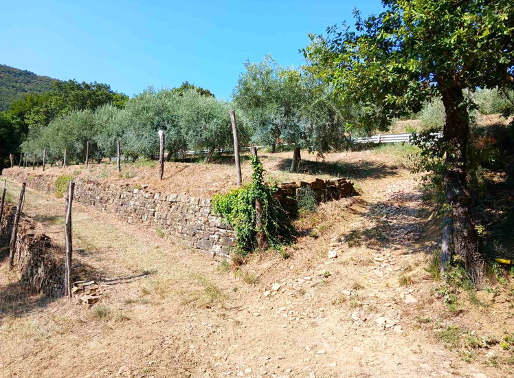 Lokacija: Obalno - kraška, Koper, Vanganel
