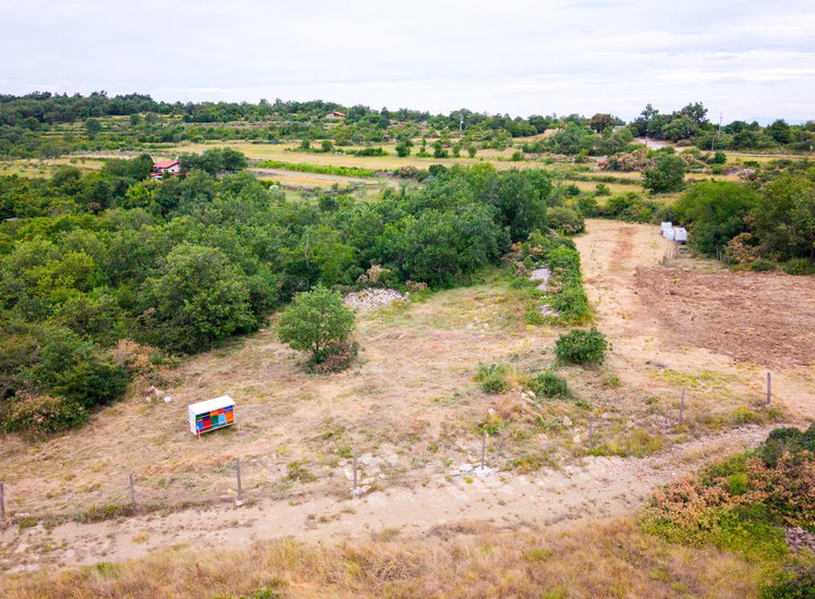 Lokacija: Obalno - kraška, Koper, Pomjan