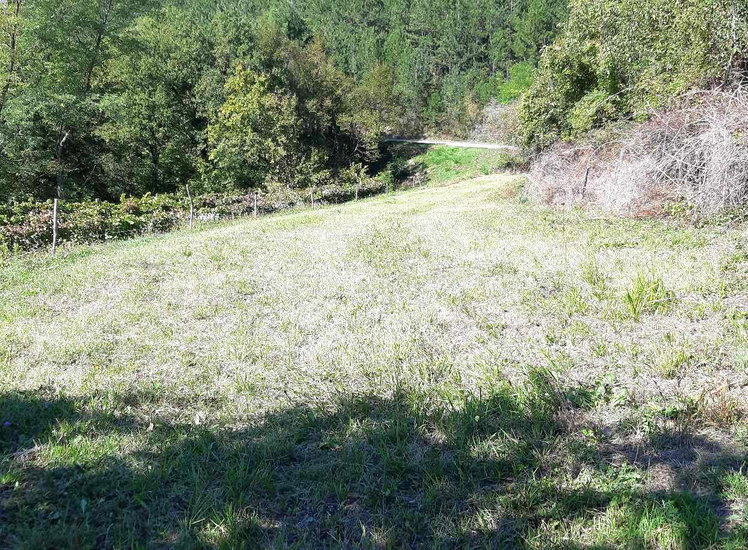 Lokacija: Obalno - kraška, Koper, Movraž