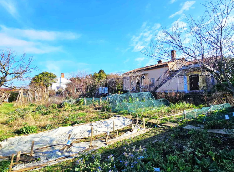 Lokacija: Obalno - kraška, Piran