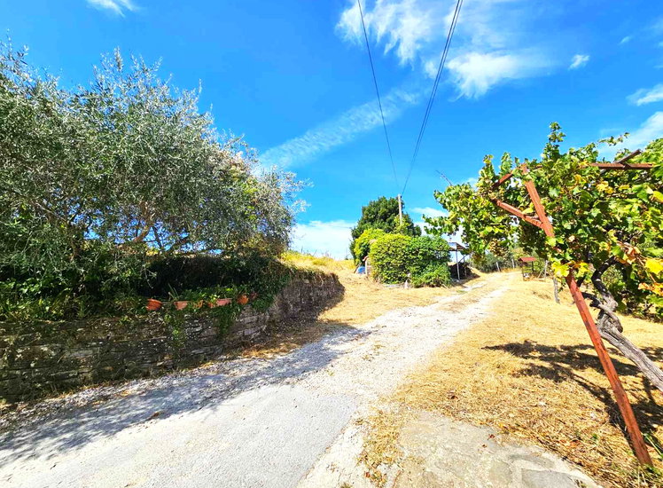 Lokacija: Obalno - kraška, Koper, Kampel