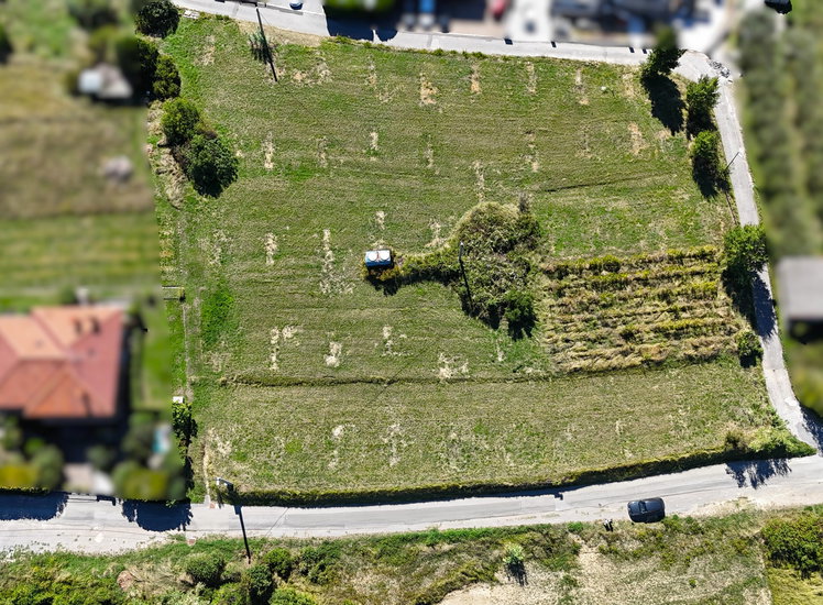 Lokacija: Obalno - kraška, Izola, Šared