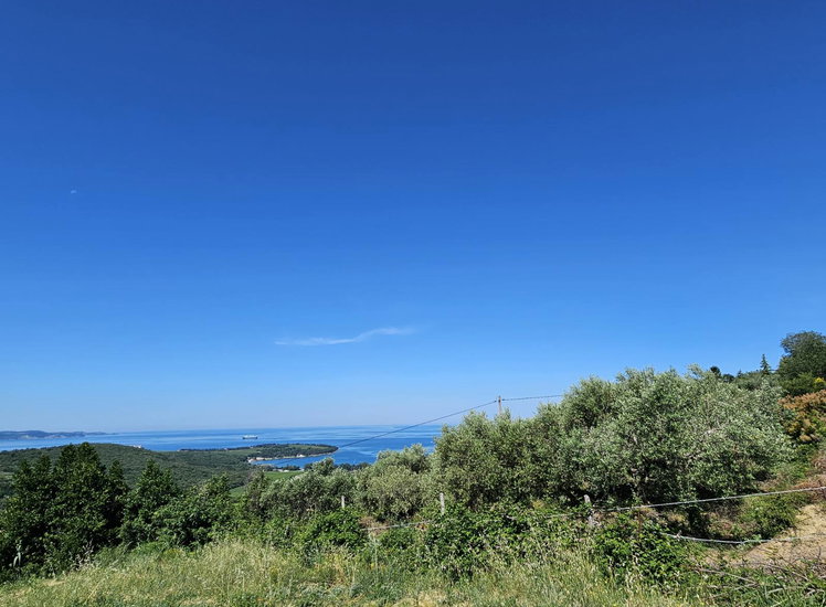 Lokacija: Obalno - kraška, Koper, Kolomban