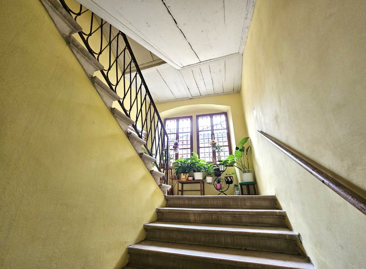 Lokacija: Obalno - kraška, Koper