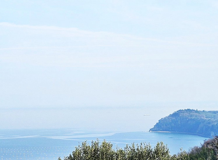 Lokacija: Obalno - kraška, Piran, Pacug