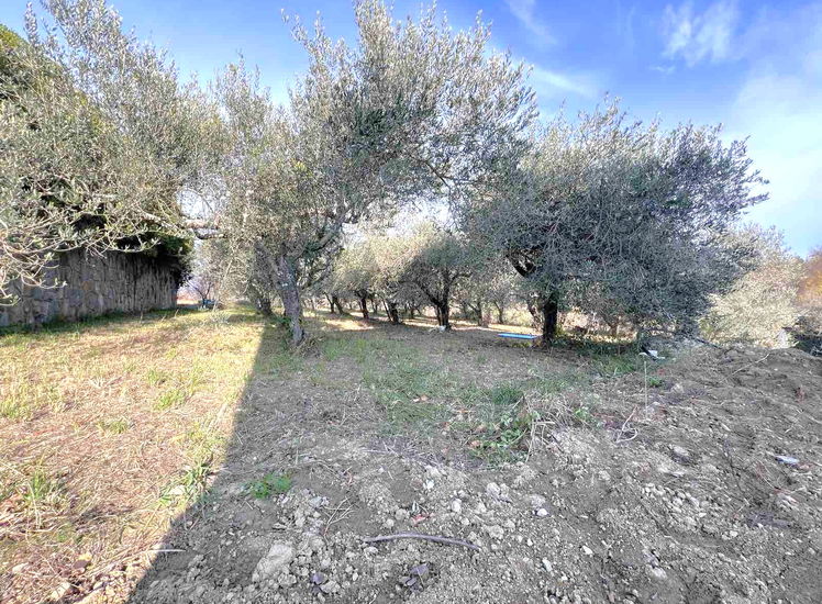 Lokacija: Obalno - kraška, Koper, Bošamarin