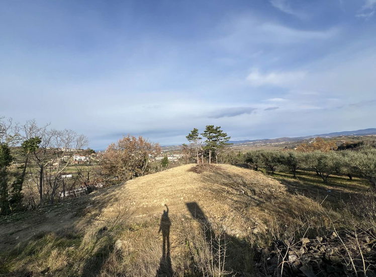 Lokacija: Obalno - kraška, Koper, Bošamarin