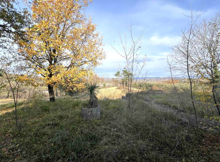 Lokacija: Obalno - kraška, Koper, Bošamarin