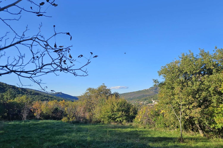 Lokacija: Obalno - kraška, Koper, Gabrovica pri Črnem Kalu
