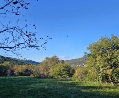 Lokacija: Obalno - kraška, Koper, Gabrovica pri Črnem Kalu