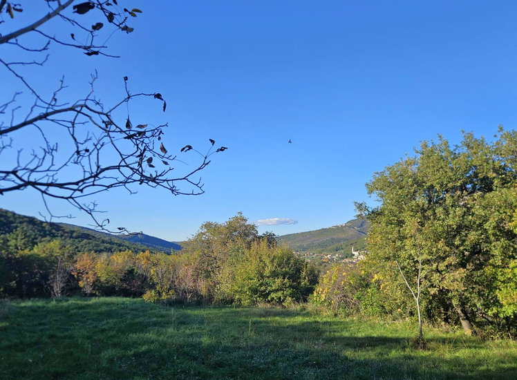 Lokacija: Obalno - kraška, Koper, Gabrovica pri Črnem Kalu