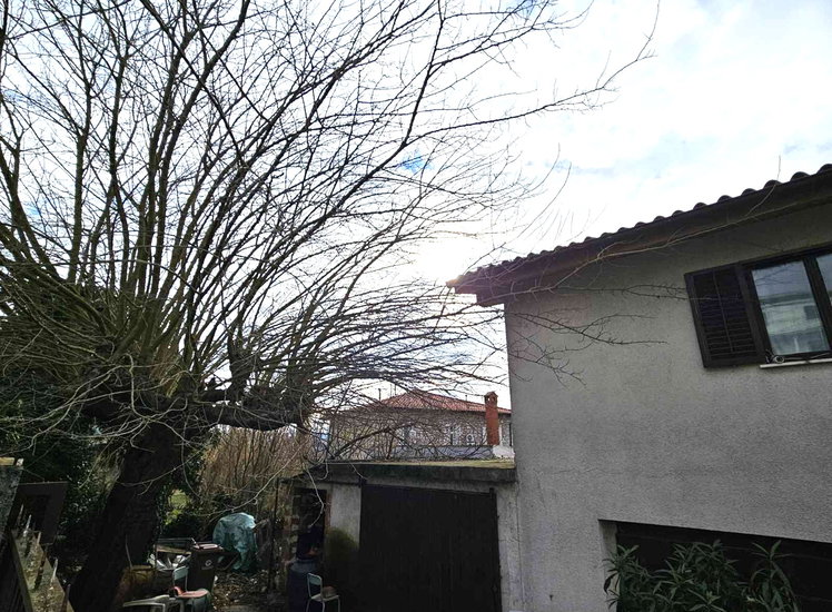 Lokacija: Obalno - kraška, Piran, Parecag