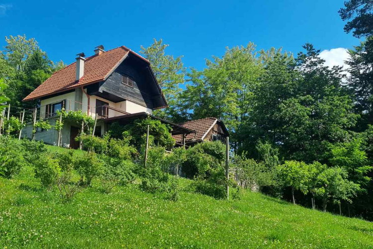 Lokacija: Ljubljana okolica, Šmartno pri Litiji, Šmartno pri Litiji