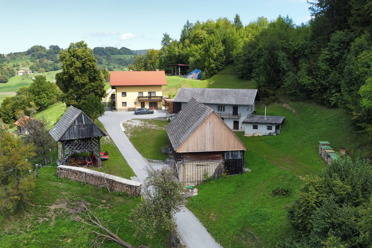 Lokacija: Savinjska, Laško, Velike Gorelce