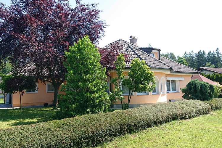 Location: Savinjska, Celje, Lopata