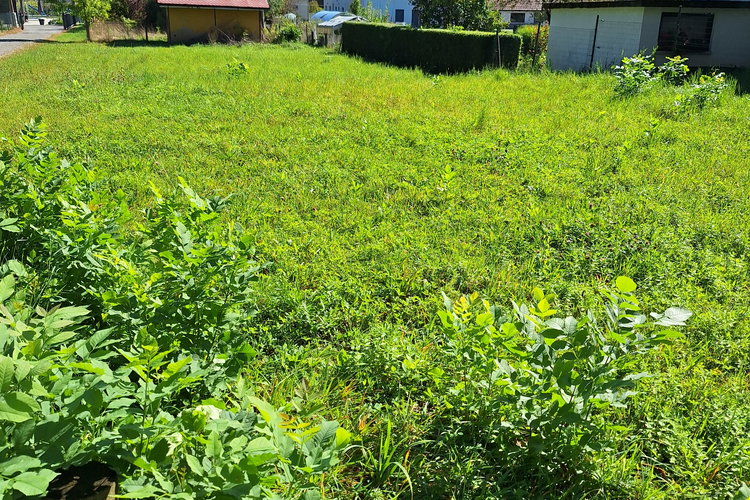 Location: Podravska, Hoče - Slivnica, Pivola